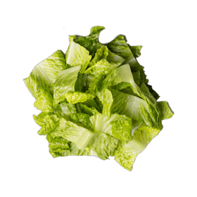 romaine