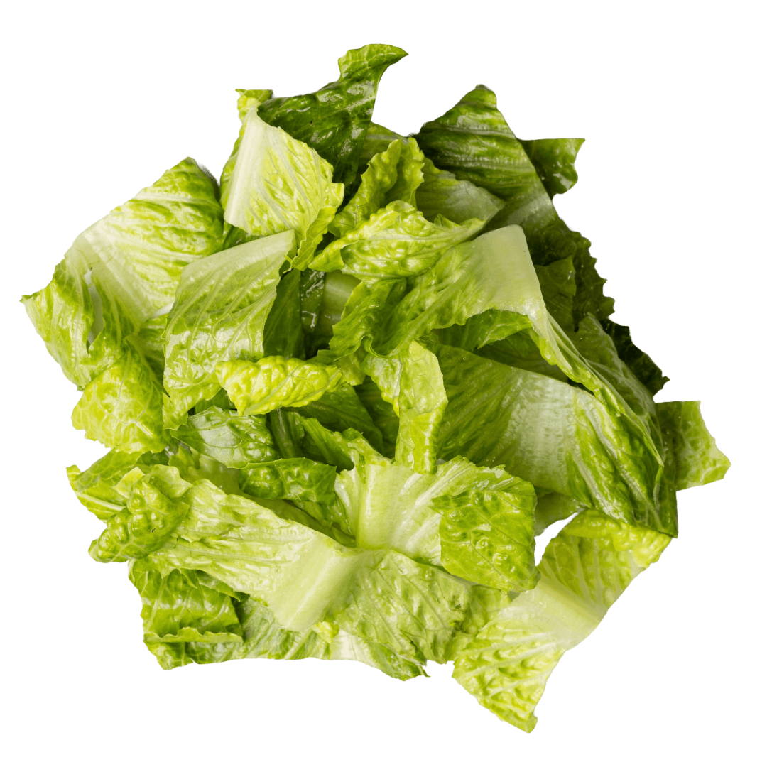 romaine lettuce
